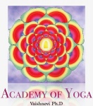logo for academy of yoga